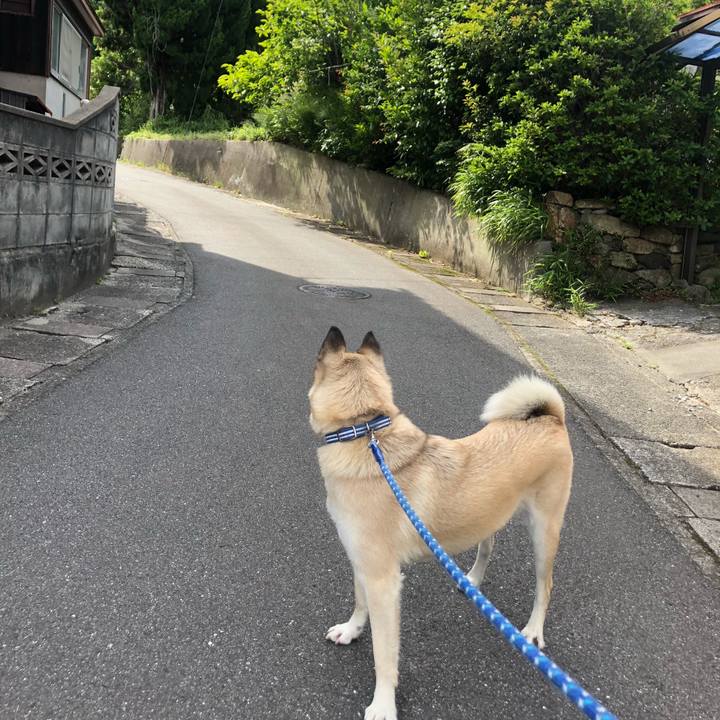 7eab21ae 1ff4 4b52 918f beee277d09cc 1590233783212