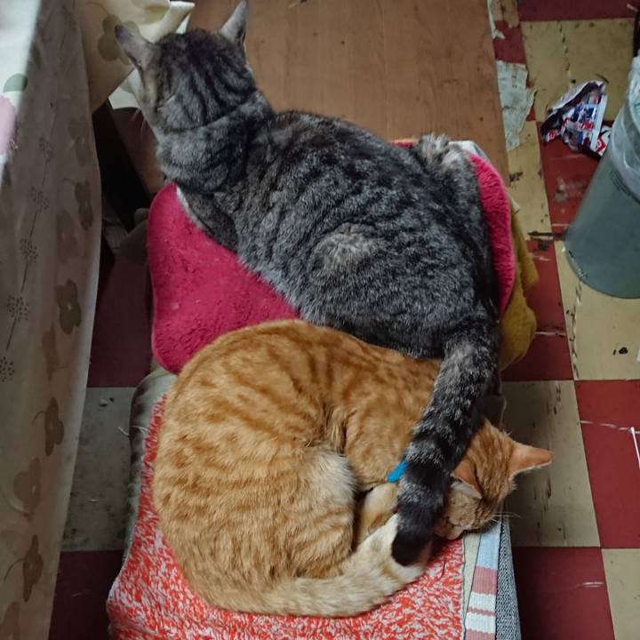 7eab41ba e8ee 4d86 b010 48f7c08020b4 1557091576597