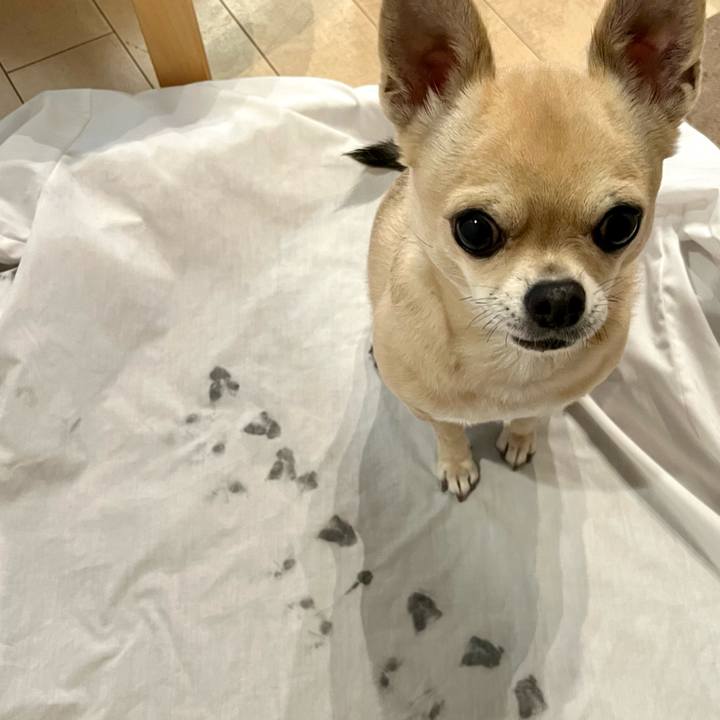 7eab5d44 88ec 407a 8015 7baa41c448d5 1669761547662