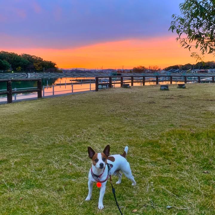 7eab9b80 7fe2 4656 a26a 23feba9b2d67 1574616350522