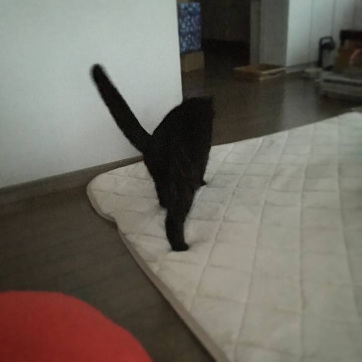 7eaba17b 004e 4366 9db2 2f934f8d647a 1510608494187