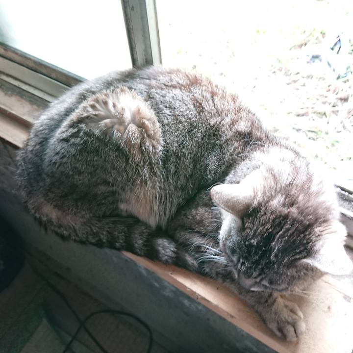 7eabab4d 5691 4f5a 9b83 5b276dde410c 1561786679424