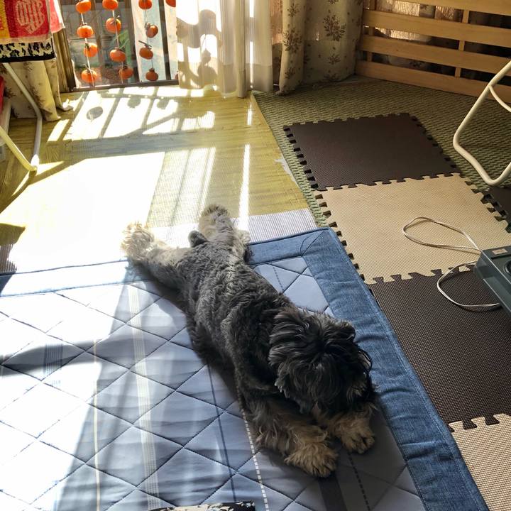 7eabaf61 fce1 451c 81ed bd3be6a01439 1666329395092