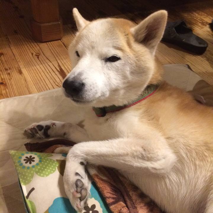 7eabbaa2 d426 40a0 a152 d40fa31ce143 1575640891535