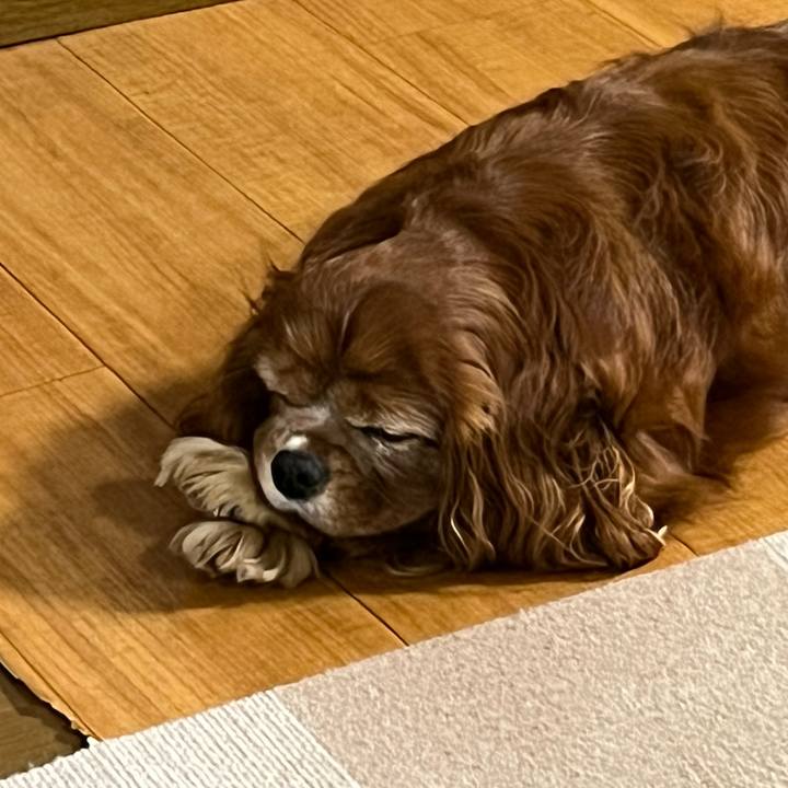 7eabbd92 4bbe 41d9 baea e05928dd6d8f 1733822987998