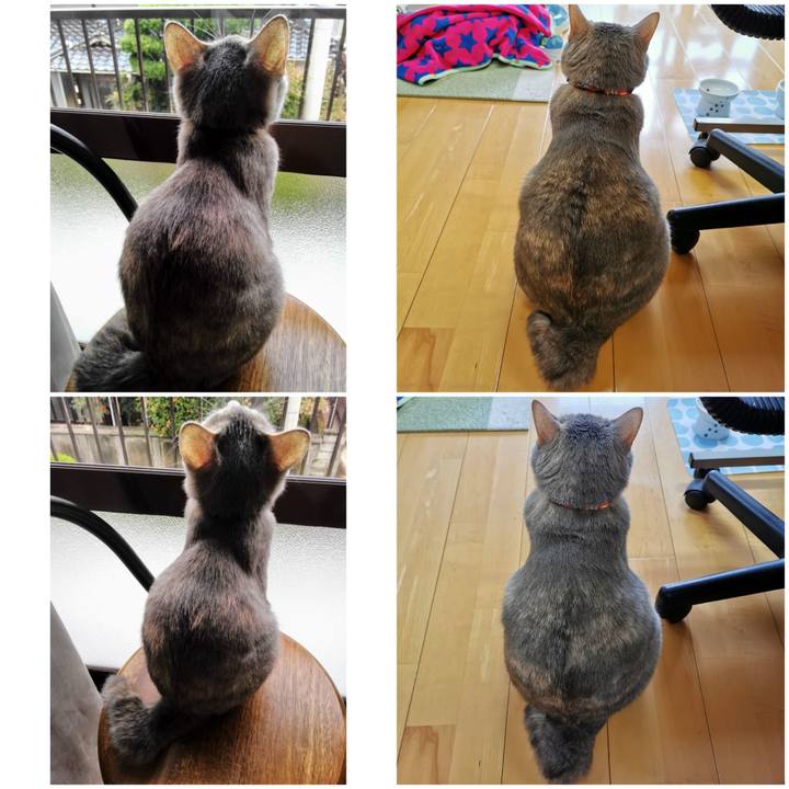 7eabc5a9 82b1 4e46 8b43 0b256cb28069 1652505793120