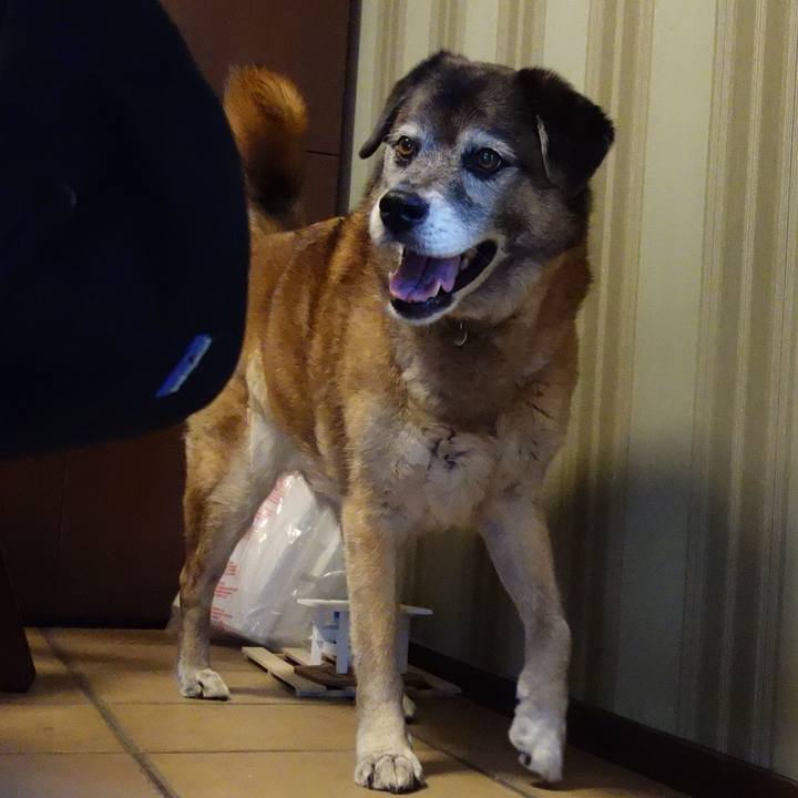 7eabd45a 0cbc 4fd6 abfe 1e9617160f60 1671414885767