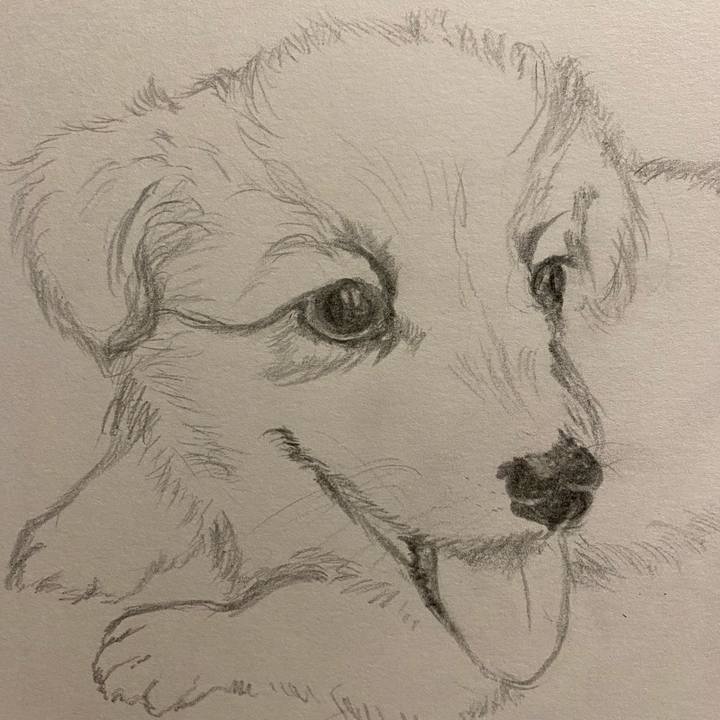 7eac1394 e9a4 4cc1 9405 b67a7af43ad8 1622904425834