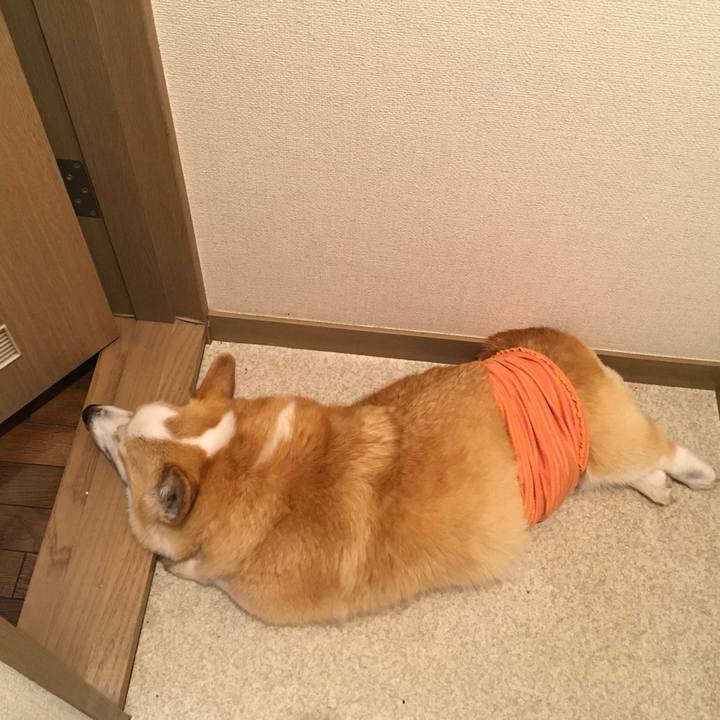 7eac2731 1764 42db b50d d168e45cd9e6 1557833885818