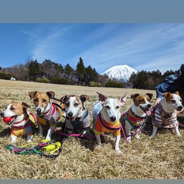 7eac369e bec2 43cc 9a18 9325a737da73 1711897631719