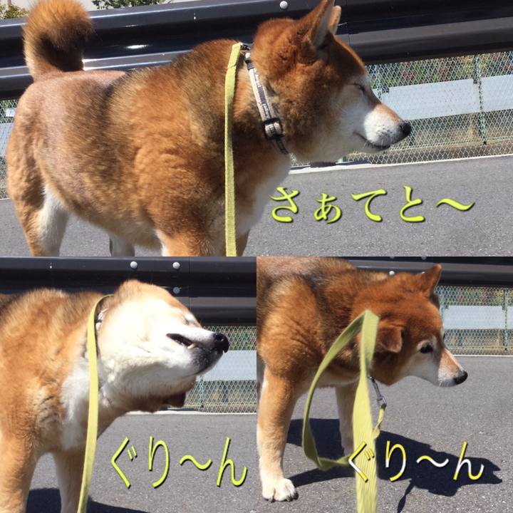 7eac411d 6515 4977 b3d9 718b09ed1a79 1618026547687