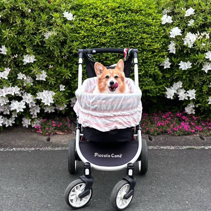 7eac9376 cfcd 4399 82c6 d8af4f0a1504 1745545445407