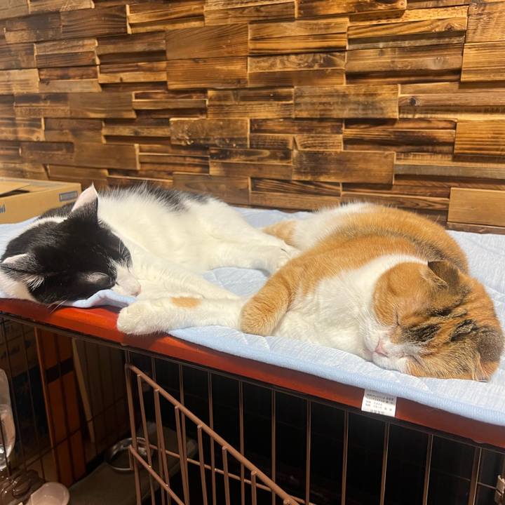 7eac9704 a73c 4ebd a0db 9ede23111d56 1656747664675