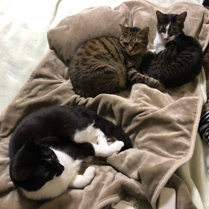 7eaca1da 1bab 4985 8fcc 88546d310386 1634765691133