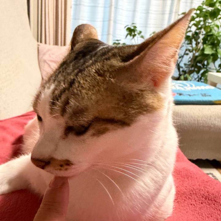 7eacb4a1 07bb 4875 8f46 d3f4af4ac9f3 1767739466497