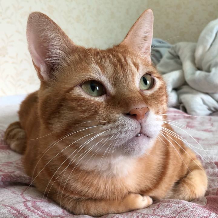 7eacf5b5 b6dd 45a3 935f 2985df269323 1568418820902