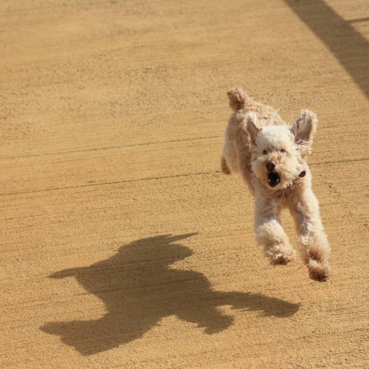 7ead369c b622 482e b258 6b9459715de8 1527777914691