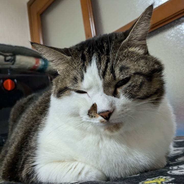 7ead39b2 1f22 4d45 93a3 28a1518174cc 1730646854289