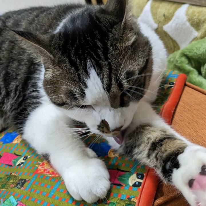 7ead4d24 b8a4 4af6 9433 d670201e879c 1684710737812