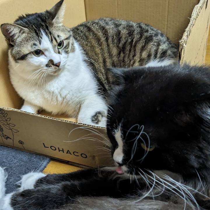 7ead9ecb bbbd 41de bde5 9e49cef9a883 1702251974104