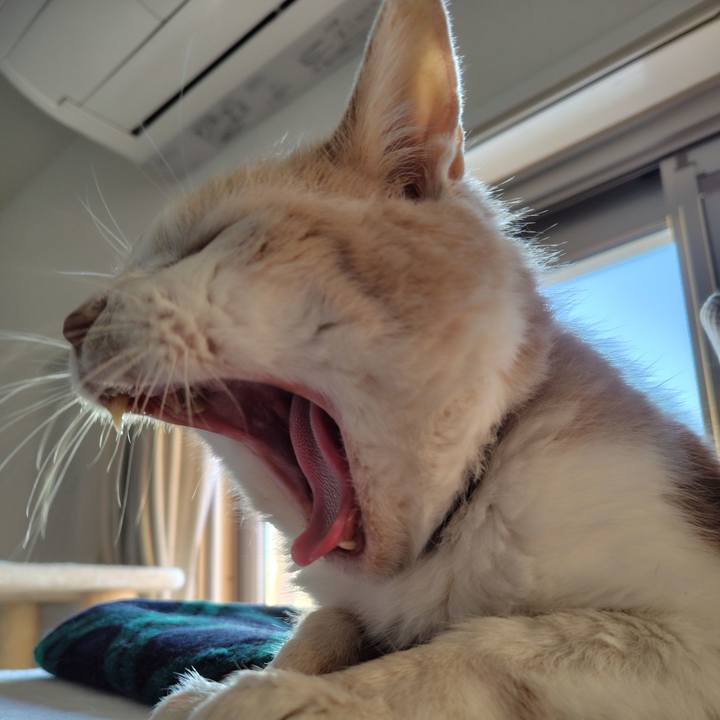 7eadbbbf b74d 43d2 8b78 57e43fa995e0 1718789995306