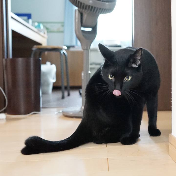 7eadc3cf ee97 4197 be88 2207585cd067 1563925357766