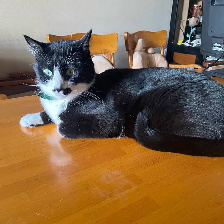 7eadc3ea 7cc0 43d2 9722 da26e6e1e257 1736991437529