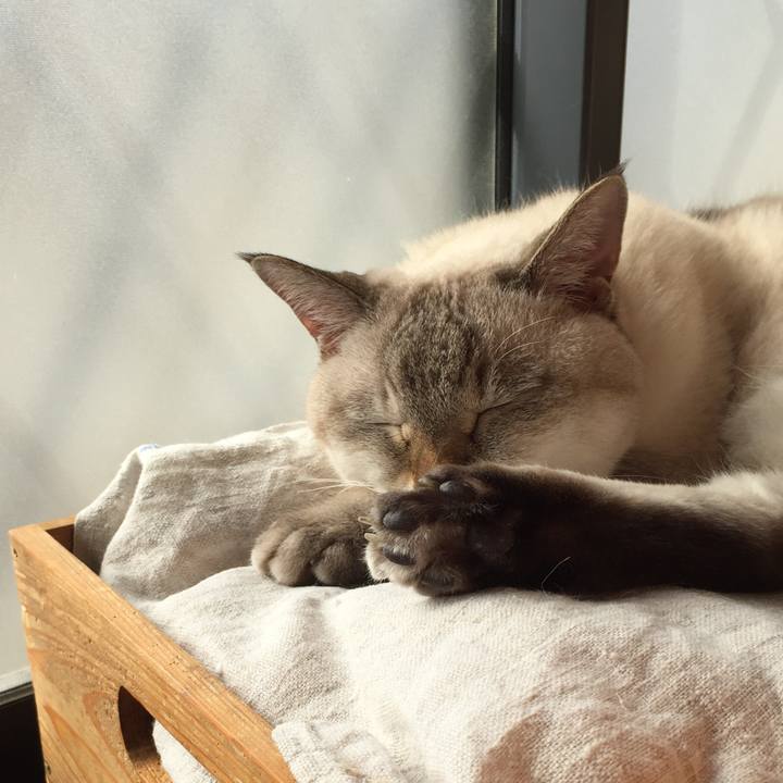 7eadf123 8fb5 46de b1bb 818461652852 1571704557373