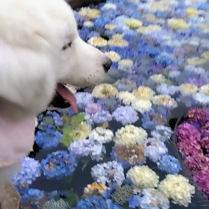 7eadf370 d847 4c69 84bc 74e34ac030e9 1687247241801