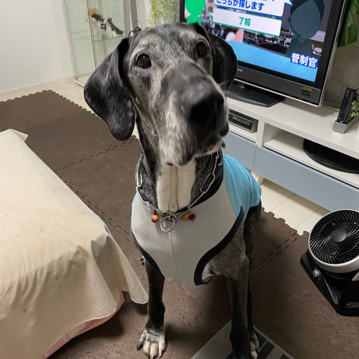 7eadfff2 9705 4a4b 890f 22af048d6776 1652654737273