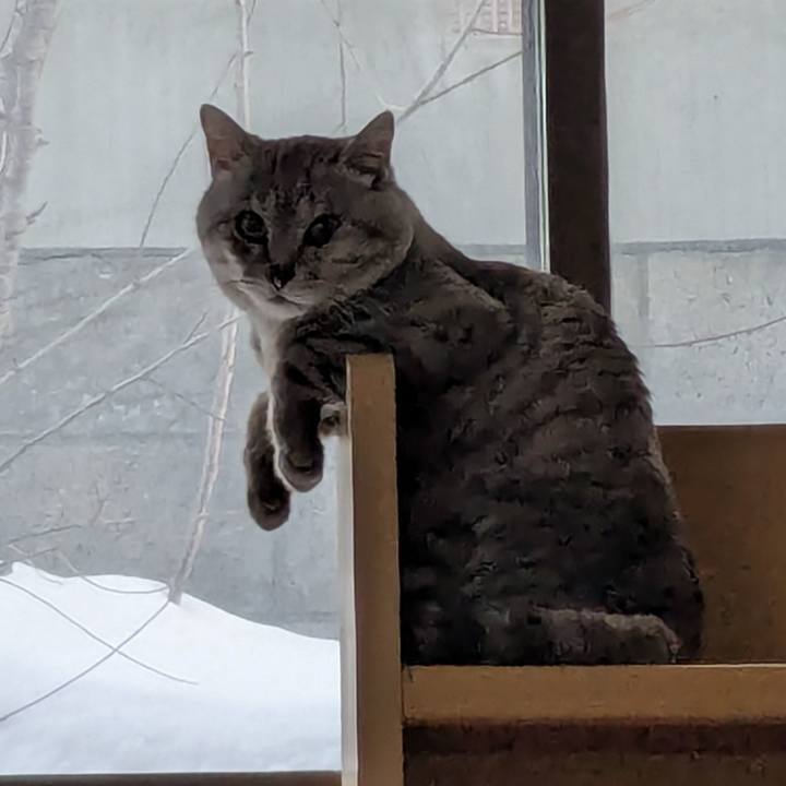 7eae0749 0714 45fb 9948 e32a1e319d49 1740745944448