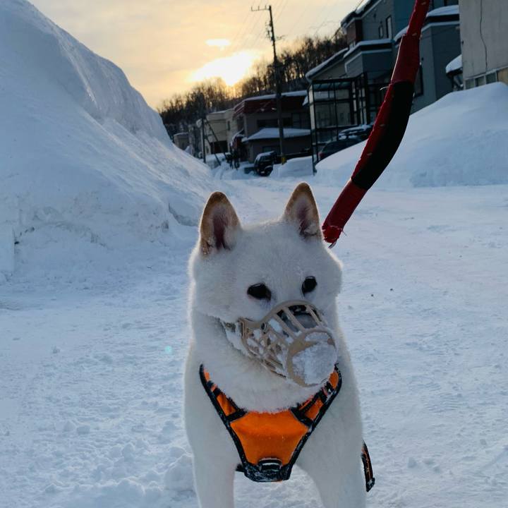 7eae0bbe 71c5 445e b513 5e4ceea36800 1675465900171