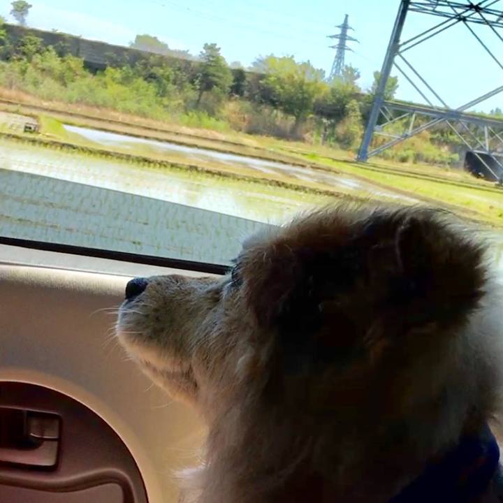 7eae199d ef4d 454d 93f0 adfb49b1202e 1639469011039