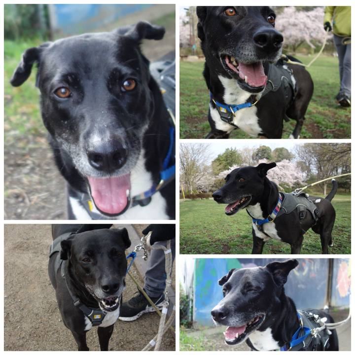 7eae1b91 3b1a 48e5 9f40 4ccb5e04689d 1648688577821