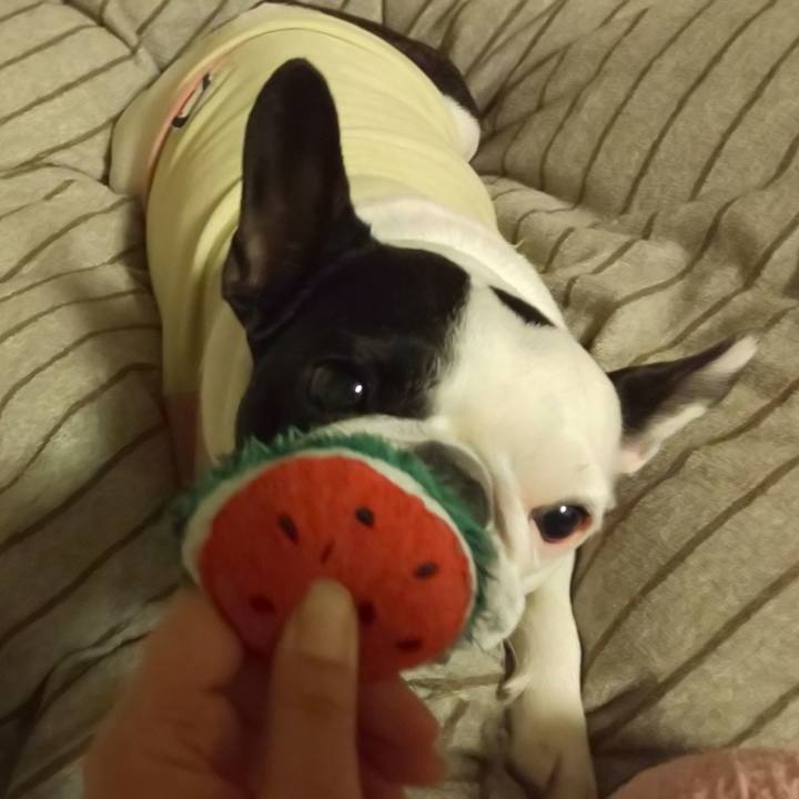 7eae5da7 303a 4af4 9604 c6aeeb0b422a 1549896998215