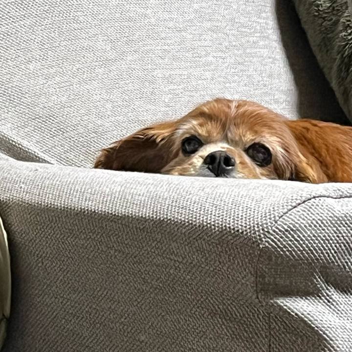 7eae8fe3 fa74 43d3 94a2 6358255a9aa4 1768211791208