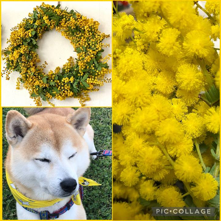 7eae9c17 a7df 4f04 89ba 840a34511ad1 1772976301411