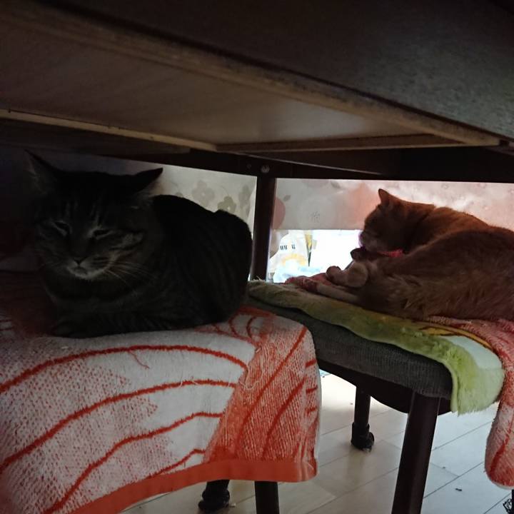 7eaea4e1 e21a 4b33 91fe c735817cda9a 1643922481704