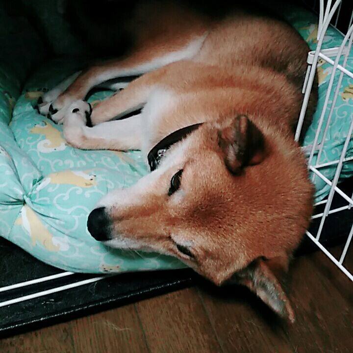 7eaeda55 c8ac 4b24 8f07 f2f9a428093d 1568121641891