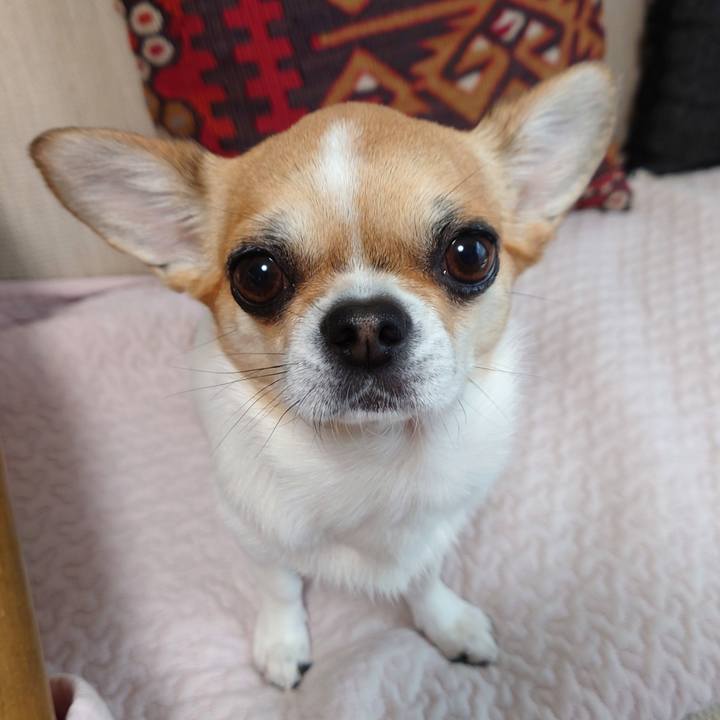 7eaef862 5066 4198 b4c8 5fe3861724ac 1650248885342