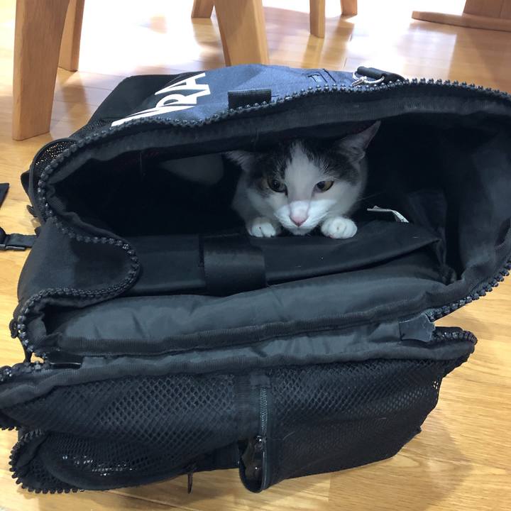 7eaf053d 037e 41ca b6ae 13caea69a361 1632921251365