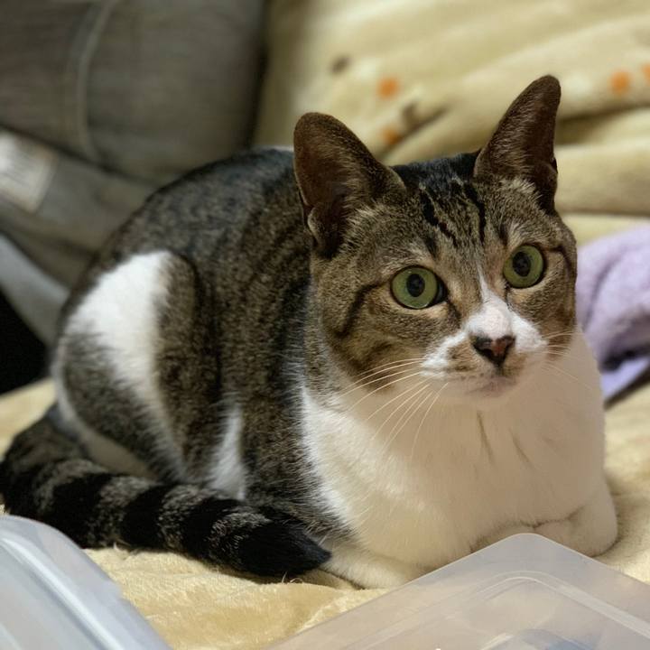 7eaf309c 94c7 41ca b98f 84034df82eef 1553217443032