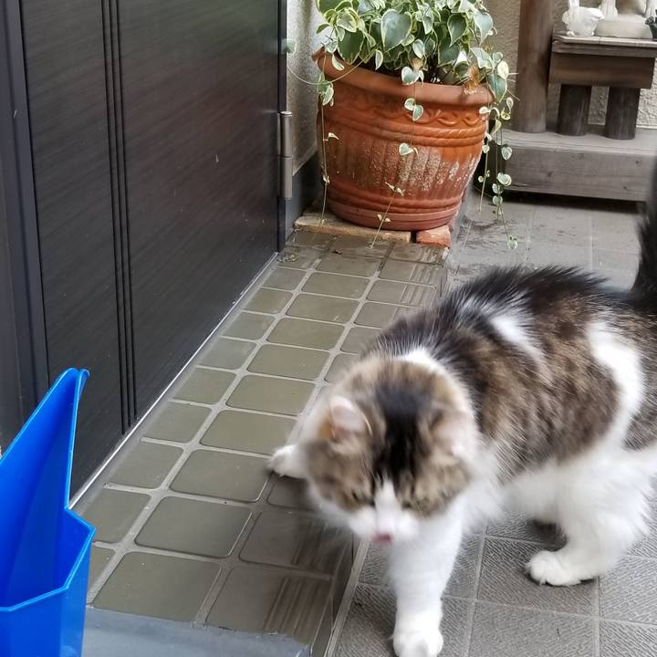 7eaf4285 6507 45b2 bed5 99a87828f914 1532045238098