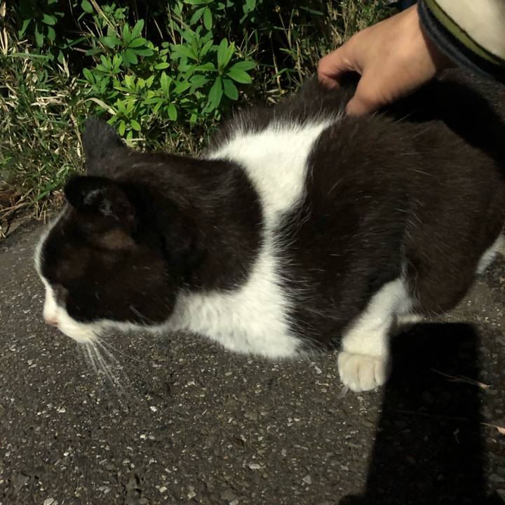 7eaf4ce4 5dc5 4c00 90af 723db9162812 1544633400610