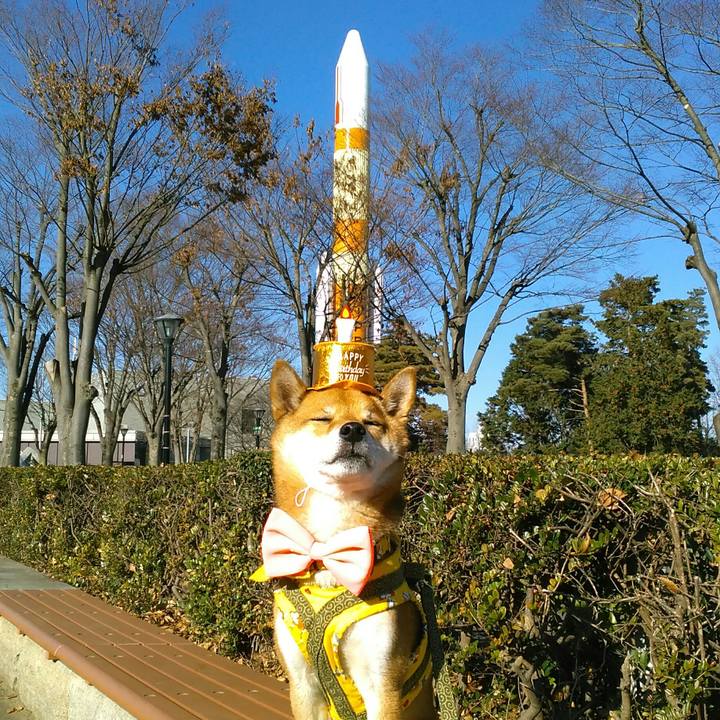 7eaf671c ba37 4991 ac98 e79fb3f798f3 1512799683271