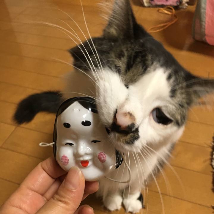 7eaf6f20 cfc4 4e65 aa21 3e041171bc69 1517666859143