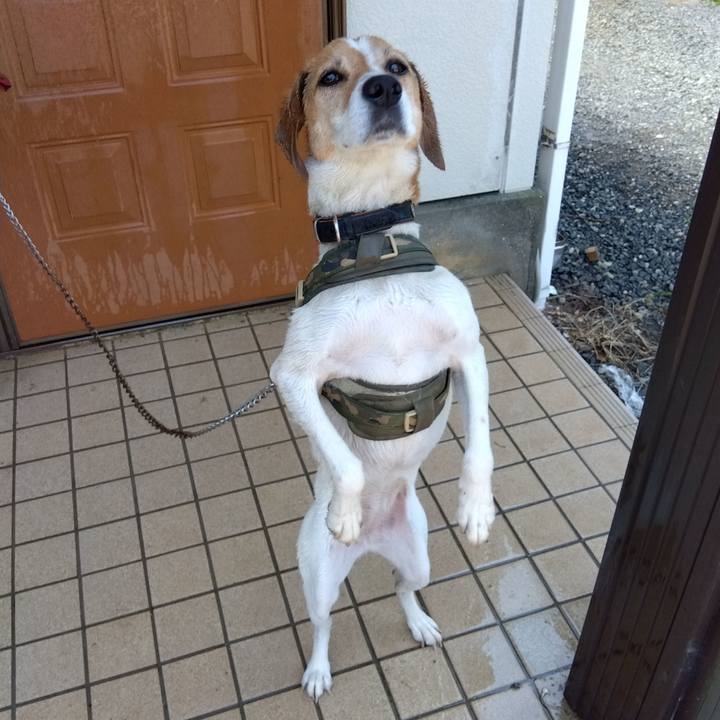 7eafad36 1685 4042 a05c 88c6f717f0d8 1687003265614