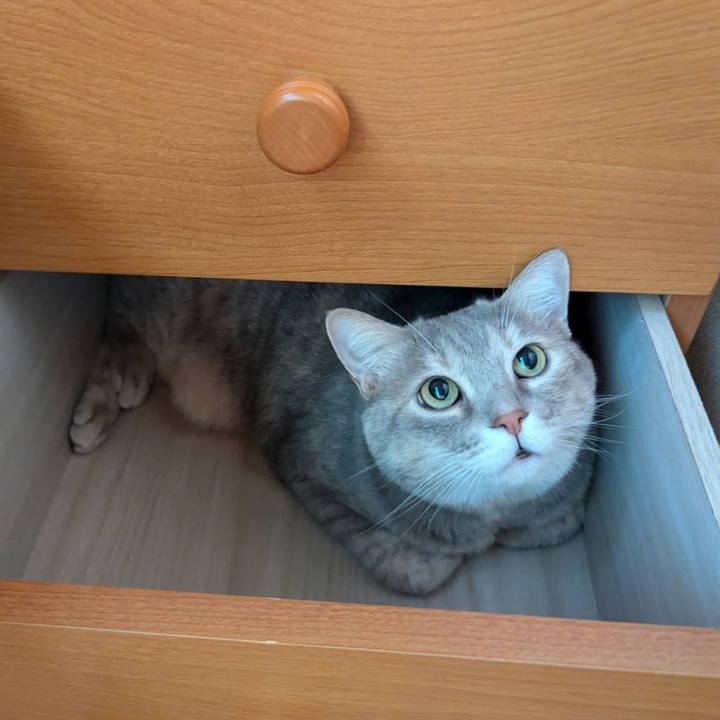 7eafaf45 76d7 4324 b9ad 04c368ae0254 1730368658691