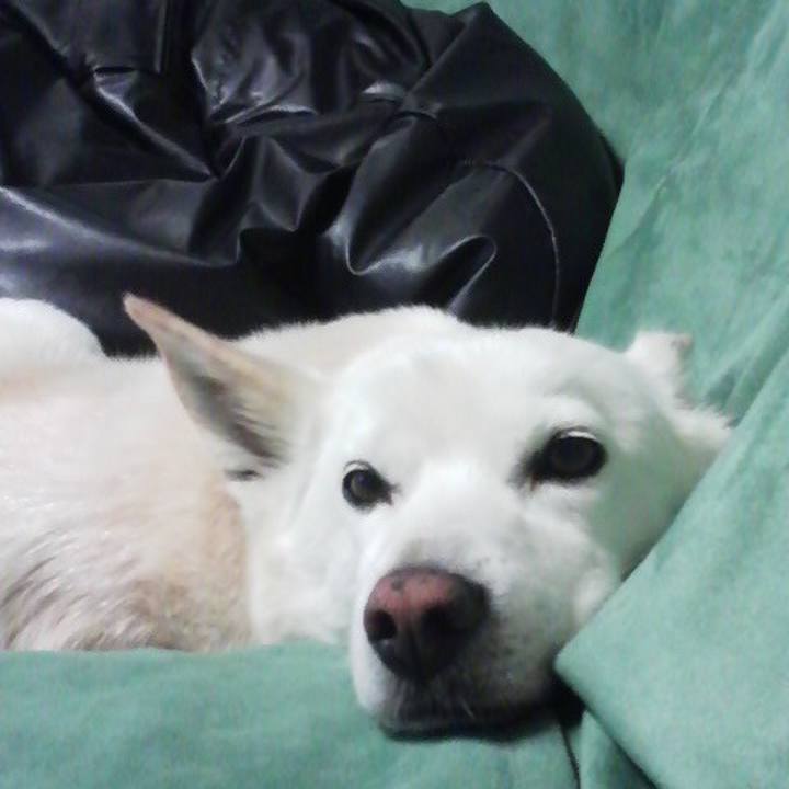 7eafe393 410f 4bed 86fb b0c3f37af376 1554984123799