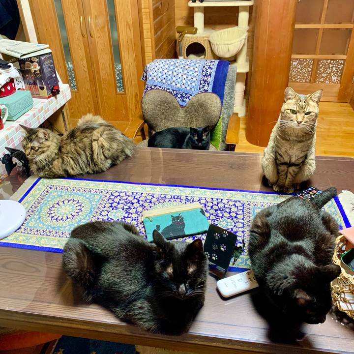 7eb00cff de70 4de4 866b f06fc7a98793 1656593309252